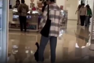Mujer pasea a su pato en un centro comercial de Puebla 