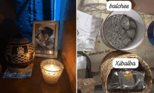 Caso Xibalba: han localizado 150 cadáveres de mascotas, victimas piden pena máxima