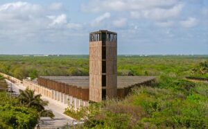 Parque del Jaguar anuncia entrada gratuita todos los domingos en Tulum