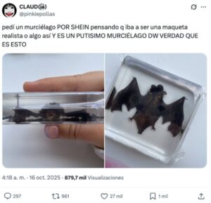 Joven recibe un murciélago disecado tras pedir una maqueta 
