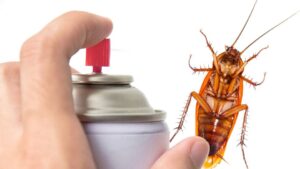 Mujer provoca un incendio tras querer matar una cucaracha con un encendedor