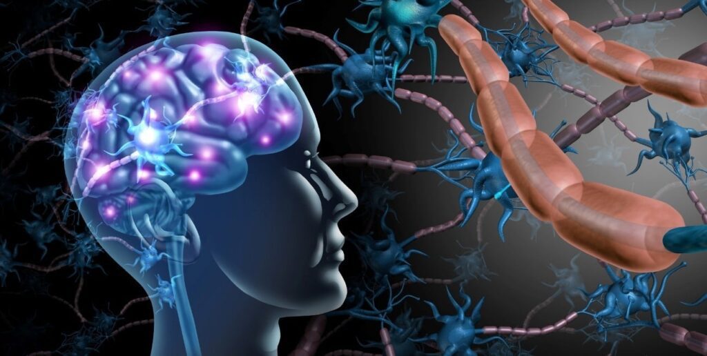 Cómo el cerebro transforma los movimientos difíciles en acciones automáticas, según un nuevo estudio