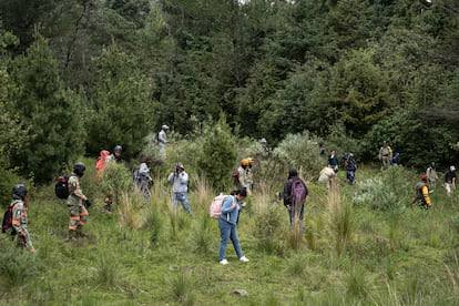El Ajusco, el bosque donde las familias buscan a sus desaparecidos en Ciudad de México 1 El Ajusco, el bosque donde las familias buscan a sus desaparecidos en Ciudad de México