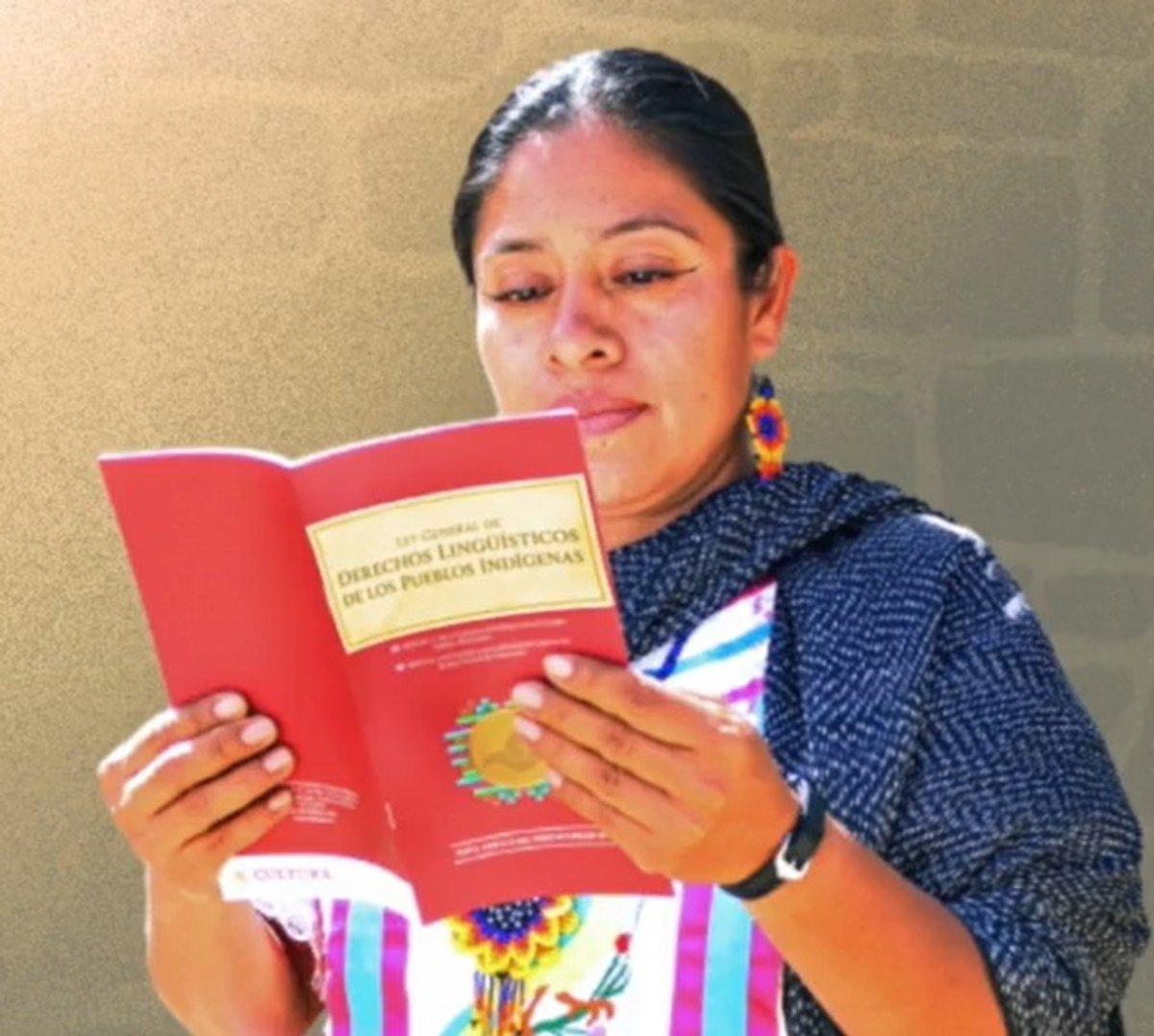 publica inali programa institucional para revitalizar fortalecer y desarrollar las lenguas indigenas 6465ec30 b4f4 448a 8d64 6c2e2aca9f16 mediarawimagetrue