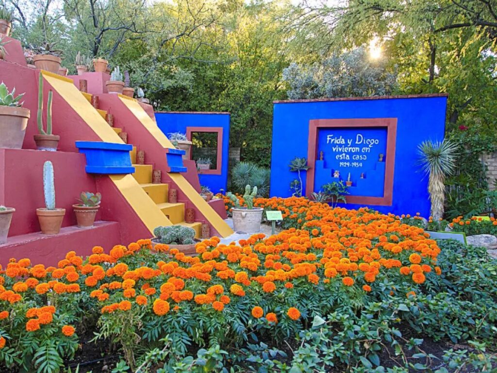 Reproducen jardín de la Casa Azul del Museo Frida Kahlo en Arizona 3 Reproducen jardín de la Casa Azul del Museo Frida Kahlo en Arizona