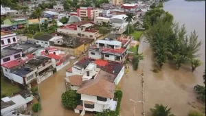 Campaña busca reunir a mascotas extraviadas en Poza Rica