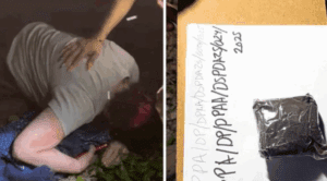 Suman 53 denuncias contra Xibalbá en Chetumal: crematorio de mascotas estafó a familias