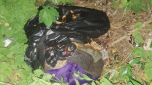 Caso Xibalba: han localizado 150 cadáveres de mascotas, victimas piden pena máxima