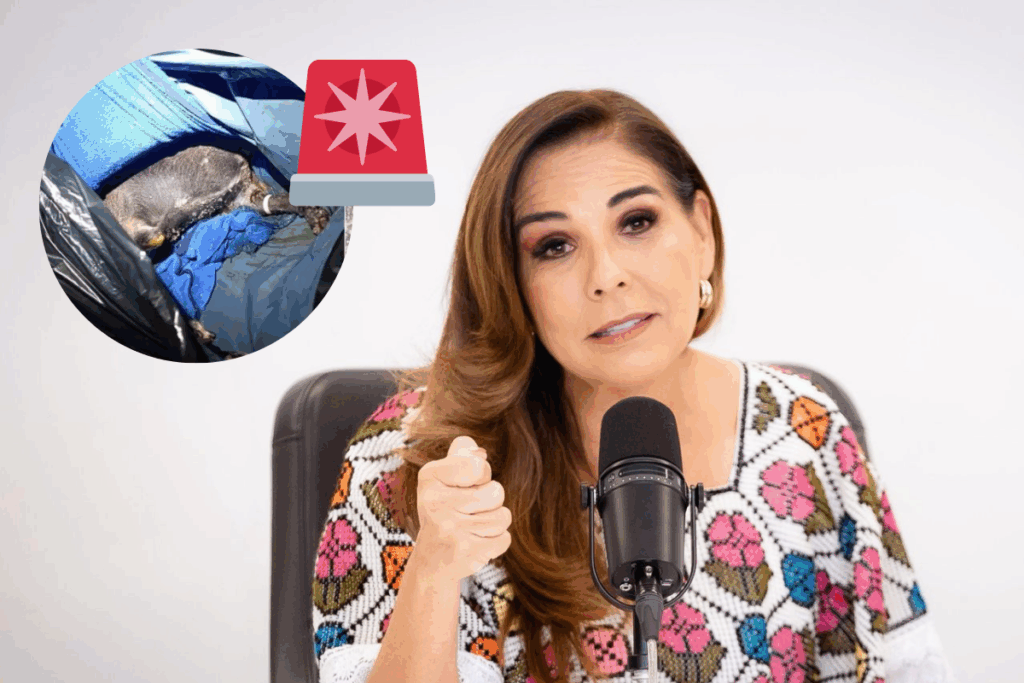 “No habrá impunidad en el caso Xibalbá": Mara Lezama 4 “No habrá impunidad en el caso Xibalbá": Mara Lezama