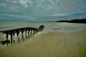 Se aleja el mar en la Bahía de Chetumal debido al Frente Frío número 13
