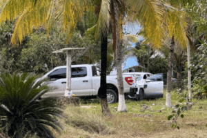 Hallan 16 cuerpos en fosa clandestina en rancho de Leona Vicario