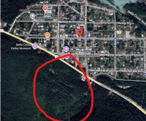 Oso pardo hiere a 11 niños durante una excursión escolar