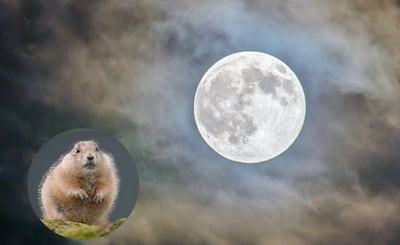 QHFBC2QZJ5BENB6OZ4FCRS2Y7I