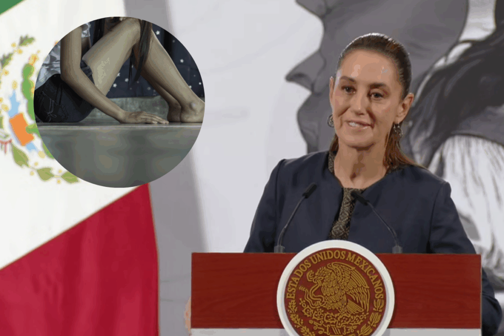 Sheinbaum lanza Plan Nacional contra el abuso sexual en México 4 Sheinbaum lanza Plan Nacional contra el abuso sexual en México