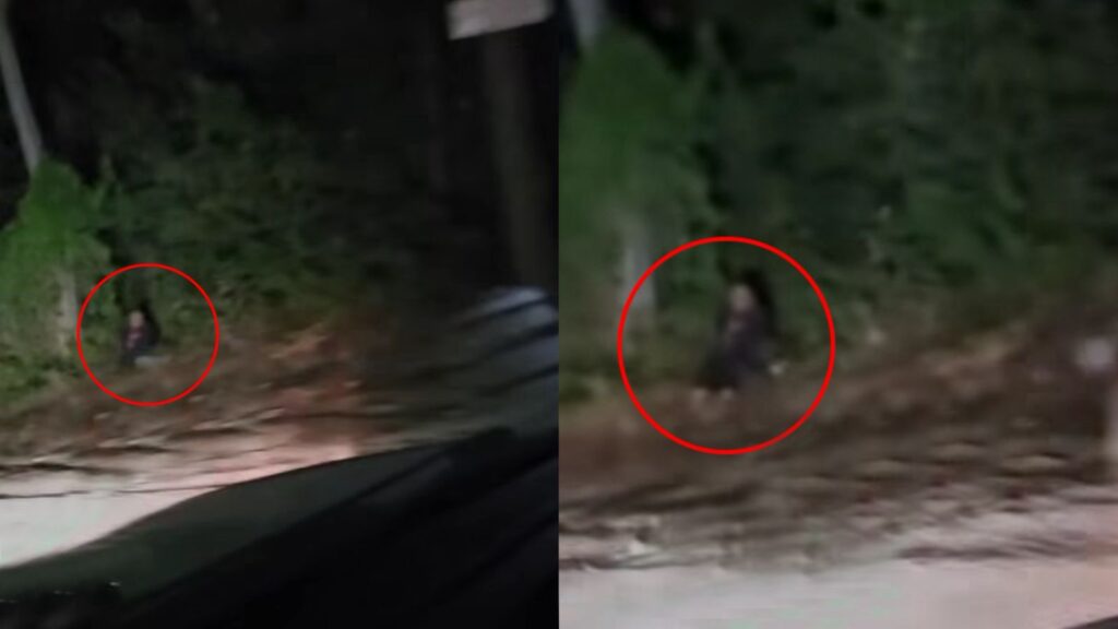 Automovilista capta a un “niño fantasma” en plena carretera 3 WhatsApp Image 2025 11 05 at 10.27.19 PM