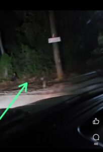 Automovilista capta a un niño fantasma en plena carretera