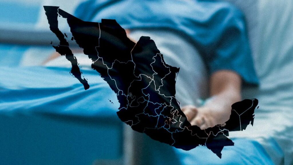 WhatsApp Image 2025 11 10 at 8.17.55 PM