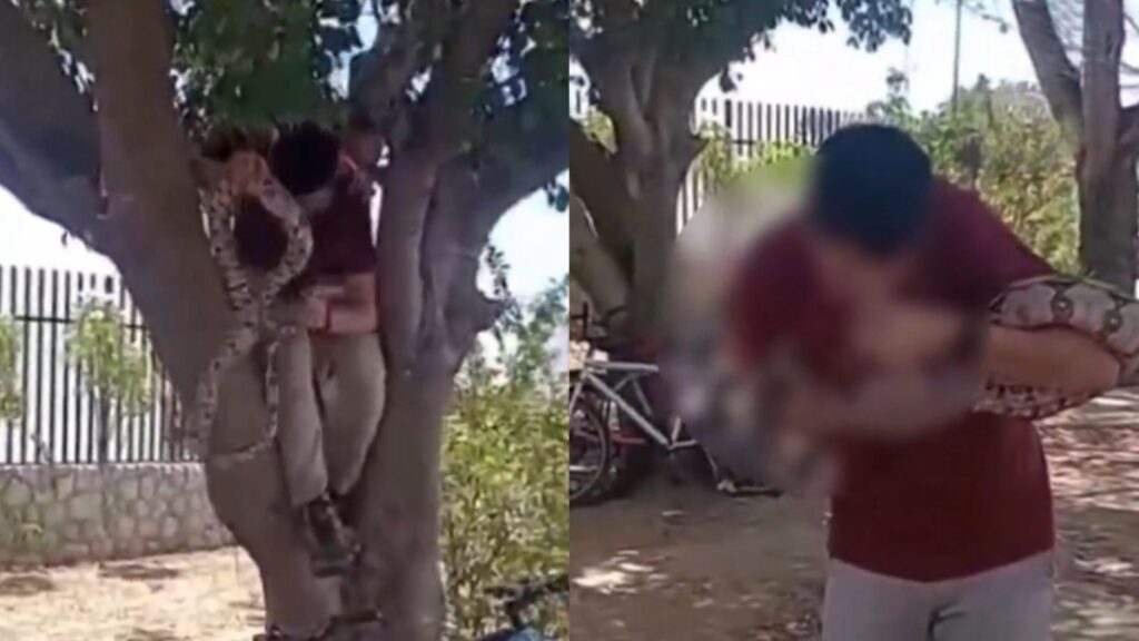 Víbora muerde a un alumno en el rostro tras quererla reubicar 3 WhatsApp Image 2025 11 15 at 8.32.43 PM