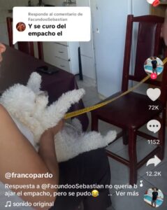 Abuelita cura de empacho a un perrito con una cinta métrica