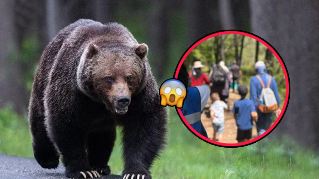 WhatsApp Image 2025 11 21 at 8.12.41 PM