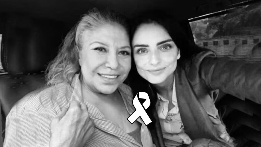 WhatsApp Image 2025 11 24 at 10.48.00 PM