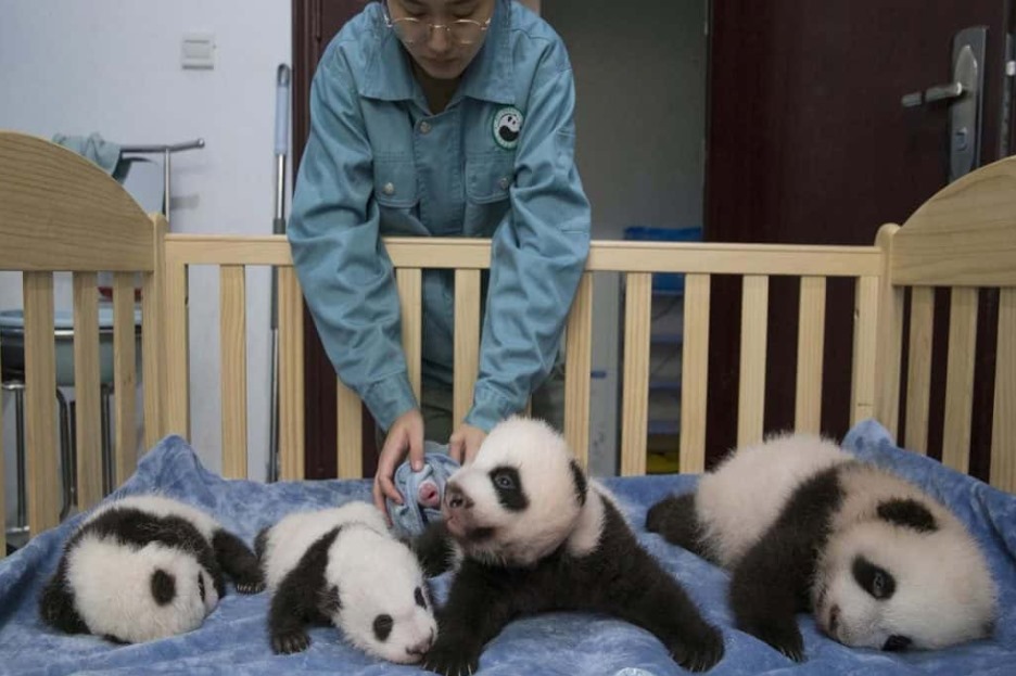 WhatsApp Image 2025 11 24 at 11.45.04 AM 1