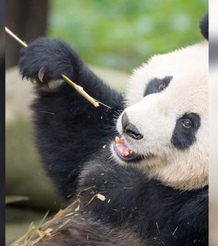 WhatsApp Image 2025 11 24 at 11.45.04 AM 2