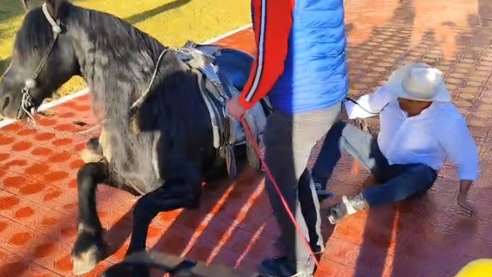 WhatsApp Image 2025 11 27 at 9.08.50 PM