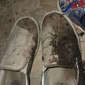 Oso pardo hiere a 11 niños durante una excursión escolar