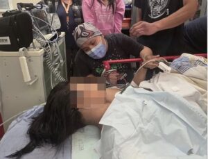 Oso pardo hiere a 11 niños durante una excursión escolar