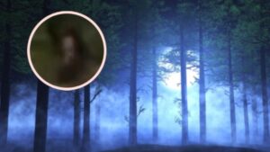 Automovilista capta a un niño fantasma en plena carretera