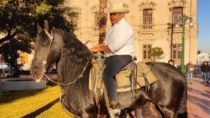 Diputado cae de un caballo al grabar un spot y desata duras críticas 
