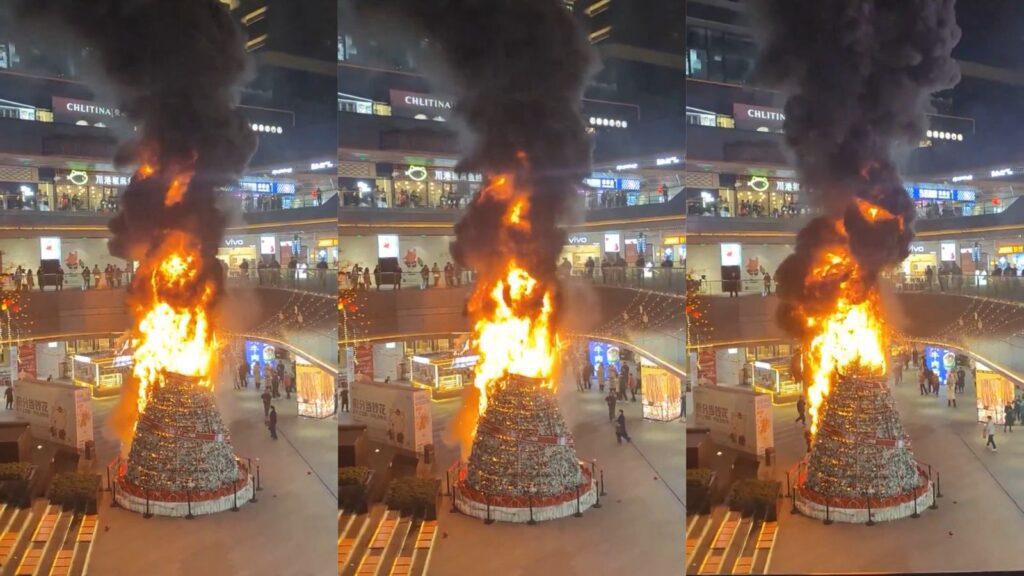 WhatsApp Image 2025 12 01 at 9.16.54 PM