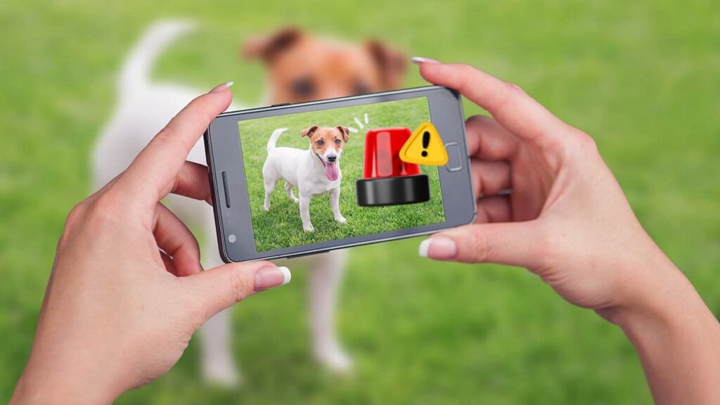 WhatsApp Image 2025 12 04 at 8.27.53 PM