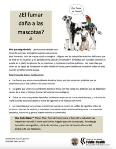 Gorila es captado fumando en un zoológico de China