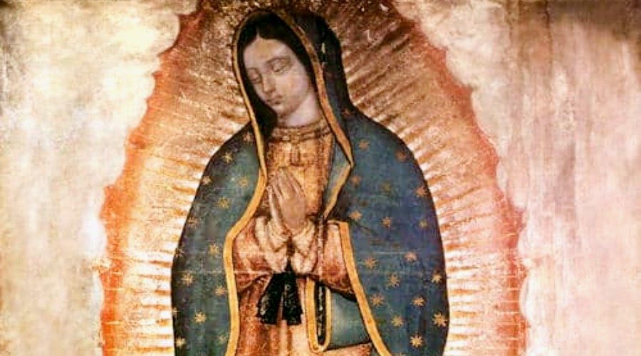 ¿Qué significa la Virgen de Guadalupe? 4 guadalupe001b copia